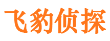 新和寻人公司